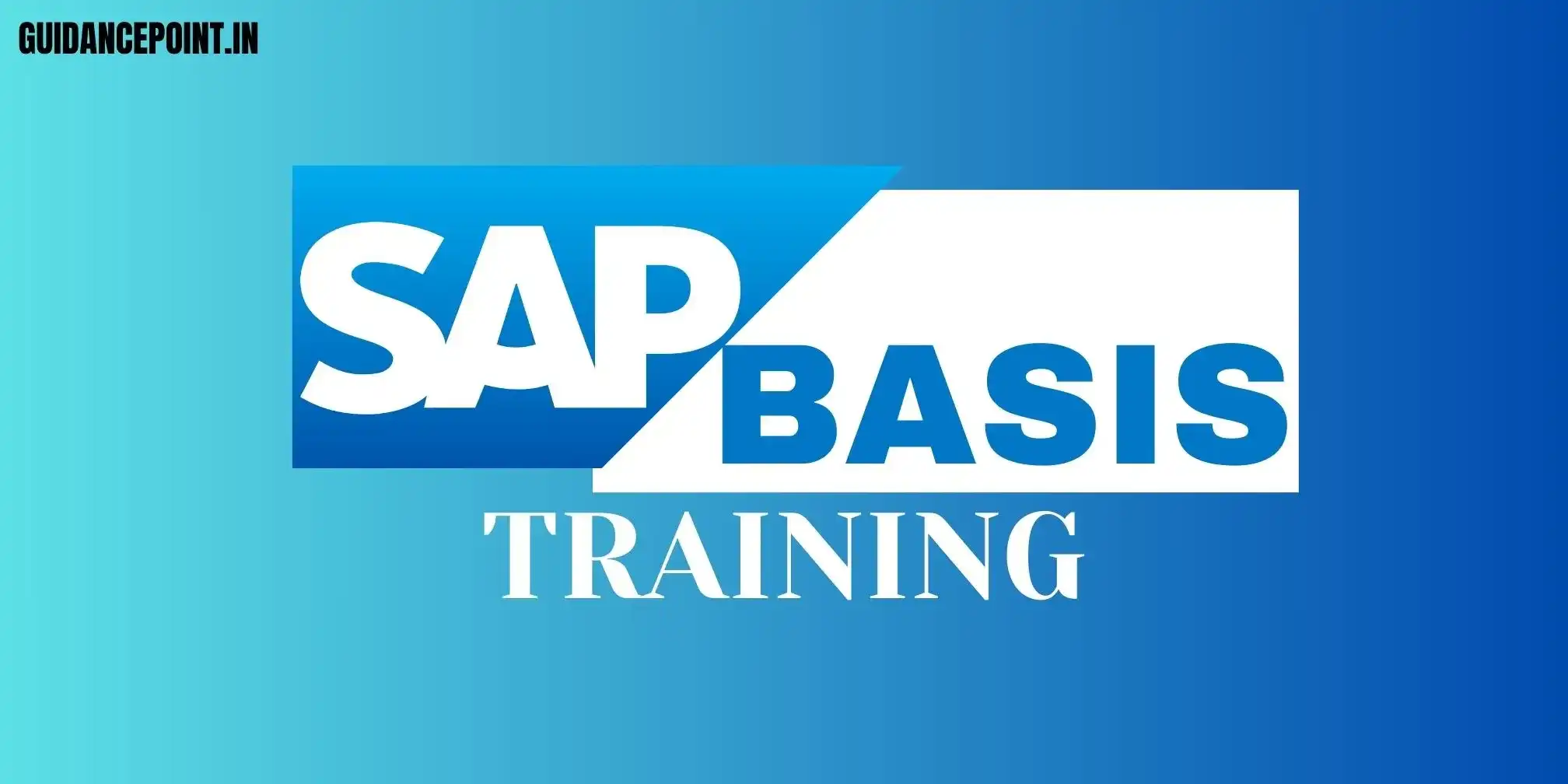 BSAP Basis Course in Pune